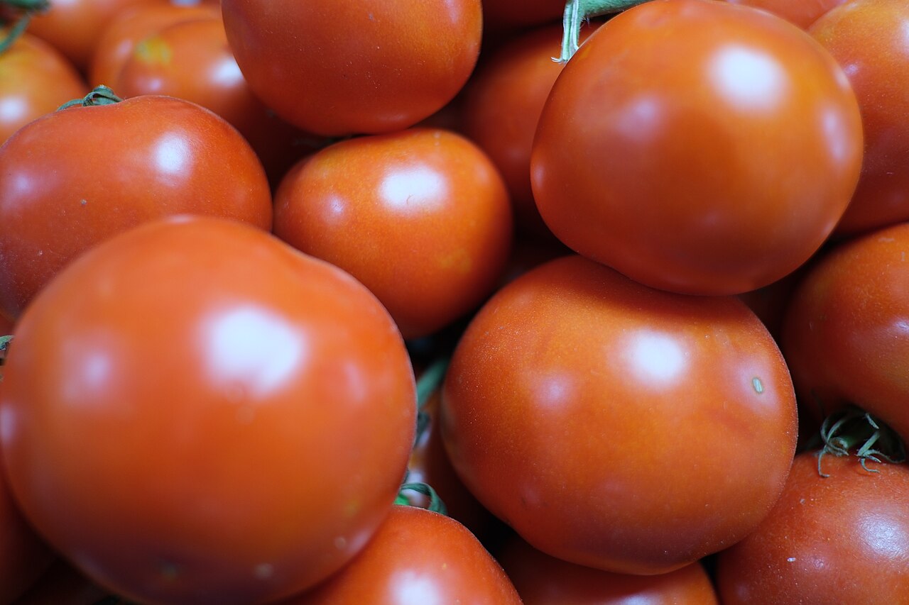 Tomato 1kg (गोलभेडा)