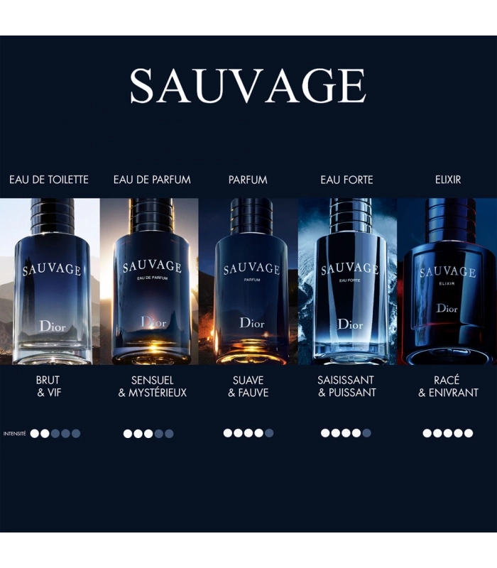 Luxury Perfume Dior Sauvage 2