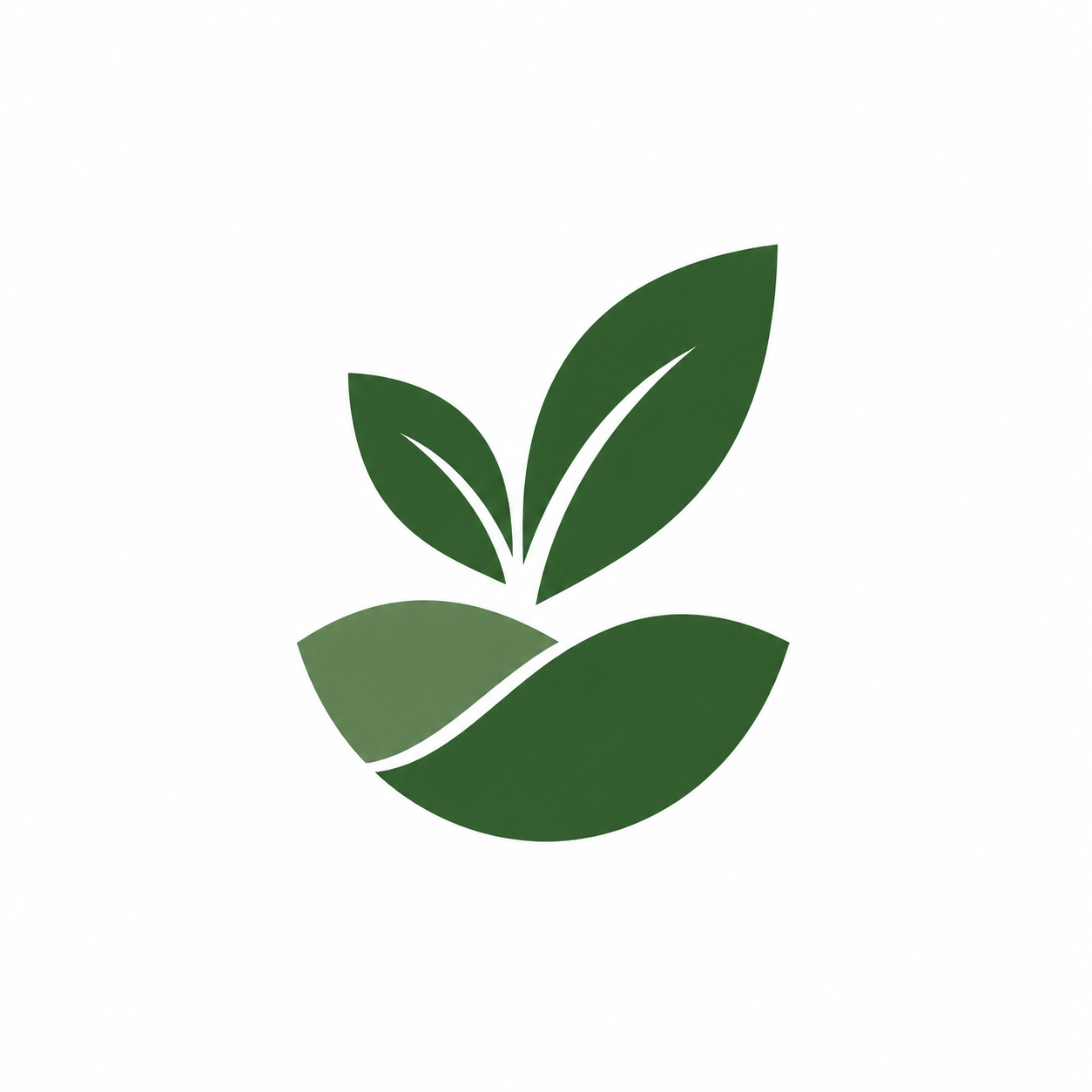Ilam Tea