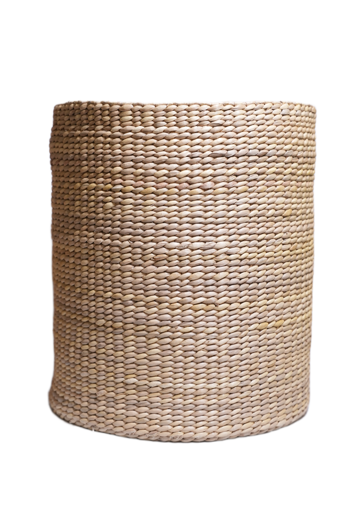 Pater Dustbin